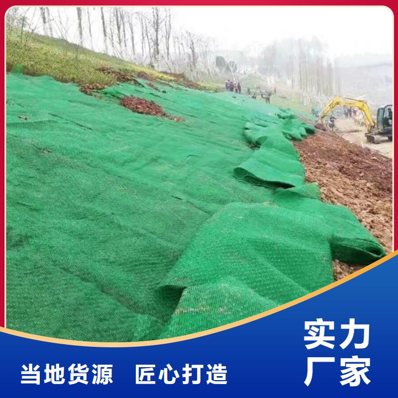 三维植被网双向塑料土工格栅专注产品质量与服务
