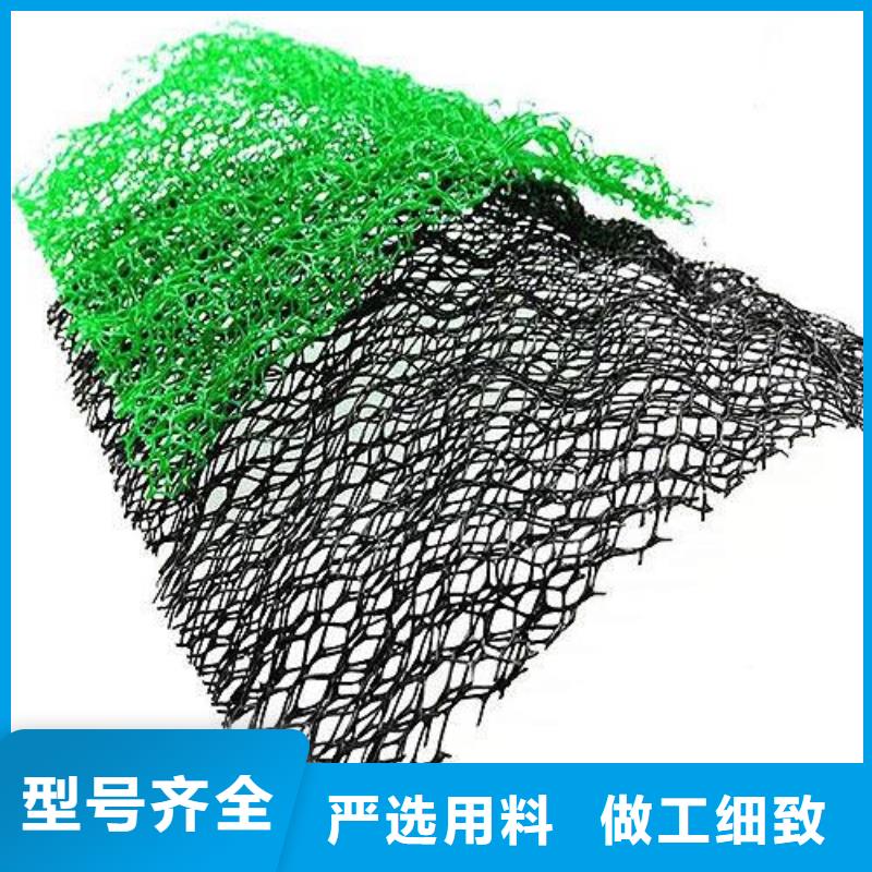 三维植被网加筋土工网垫EM4植被网护坡加筋