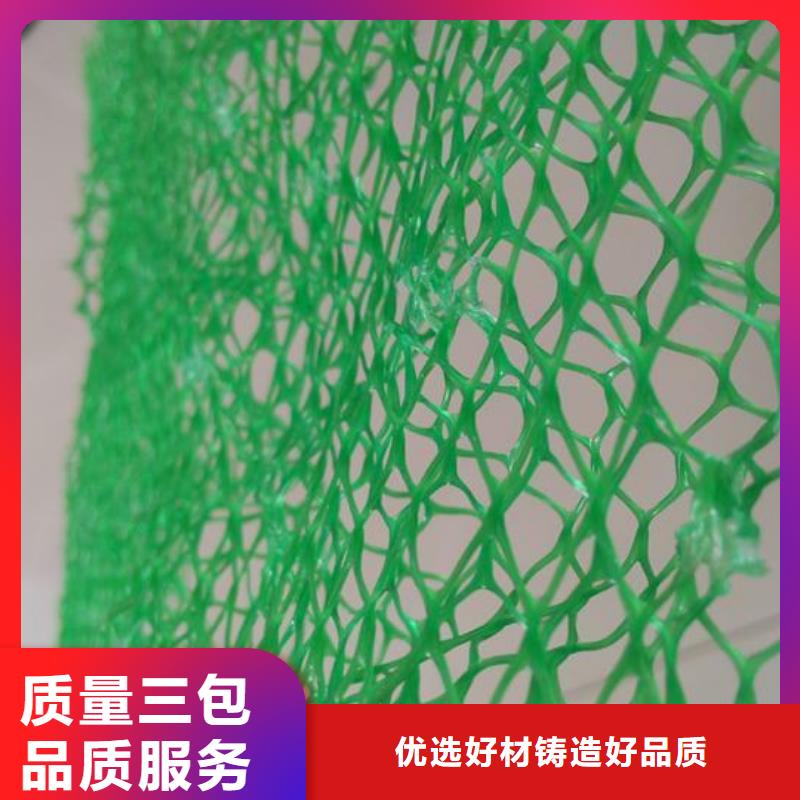 三维植被网_单向塑料土工格栅精心选材