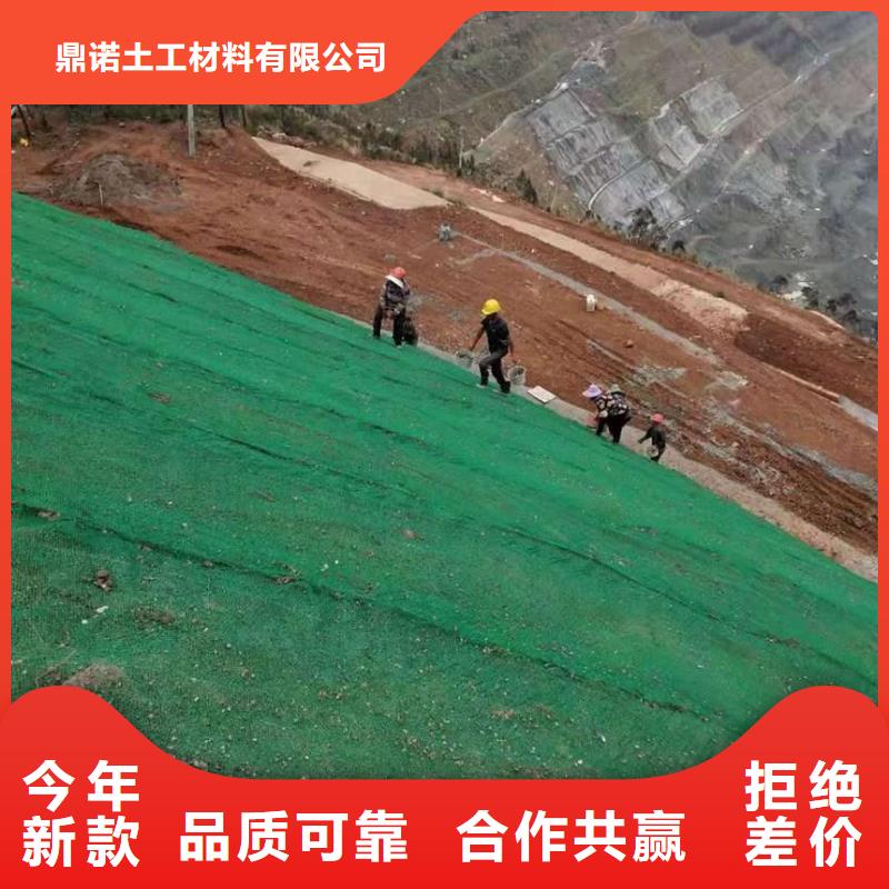 EM3三维植被网价格便宜|植草固土用EM2三维植被网EM5三维网厂家供应-亿路通新材料