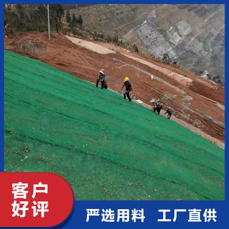 三维植被网加筋土工网垫EM5植被网护坡加筋