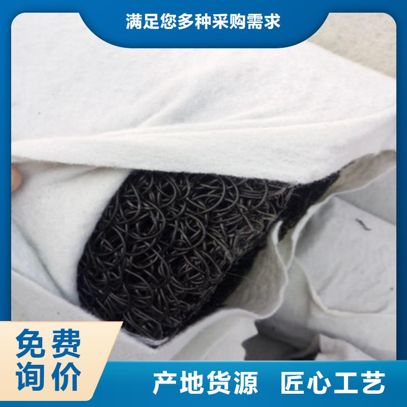 塑料盲沟单向拉伸塑料格栅现货