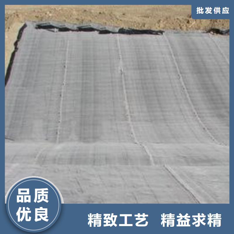 膨润土防水毯护坡土工网质检严格放心品质