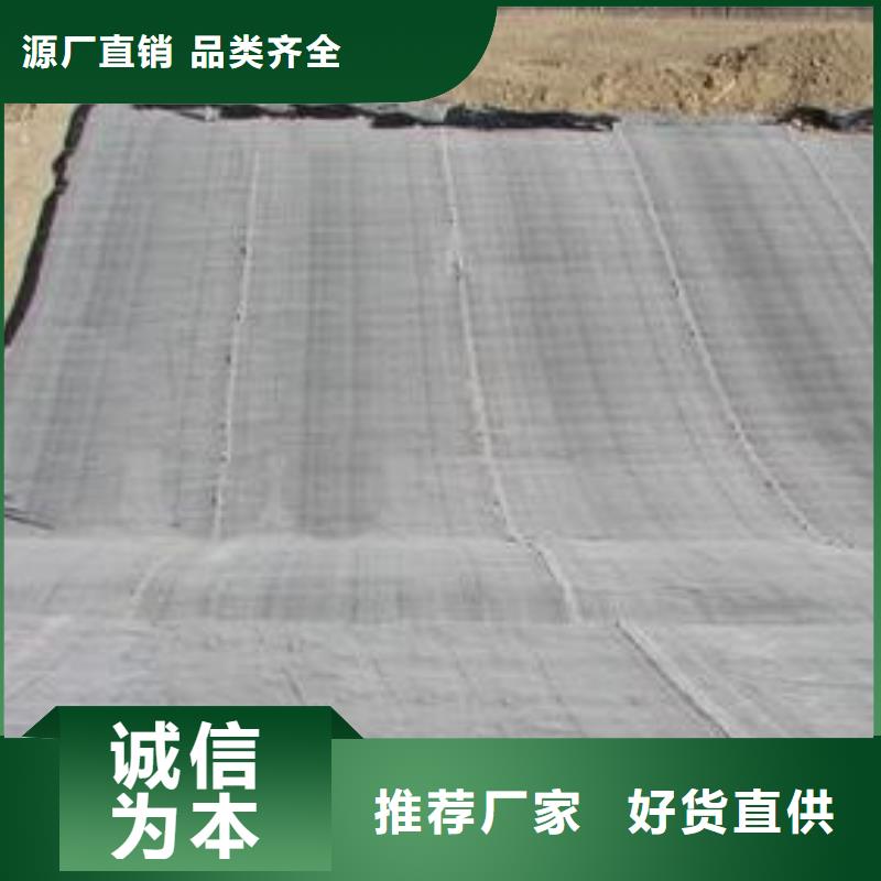 膨润土防水毯