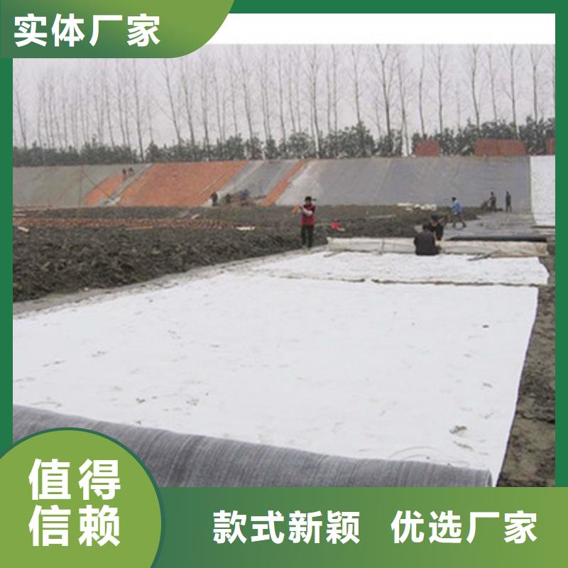 膨润土防水毯_复合土工膜货源稳定