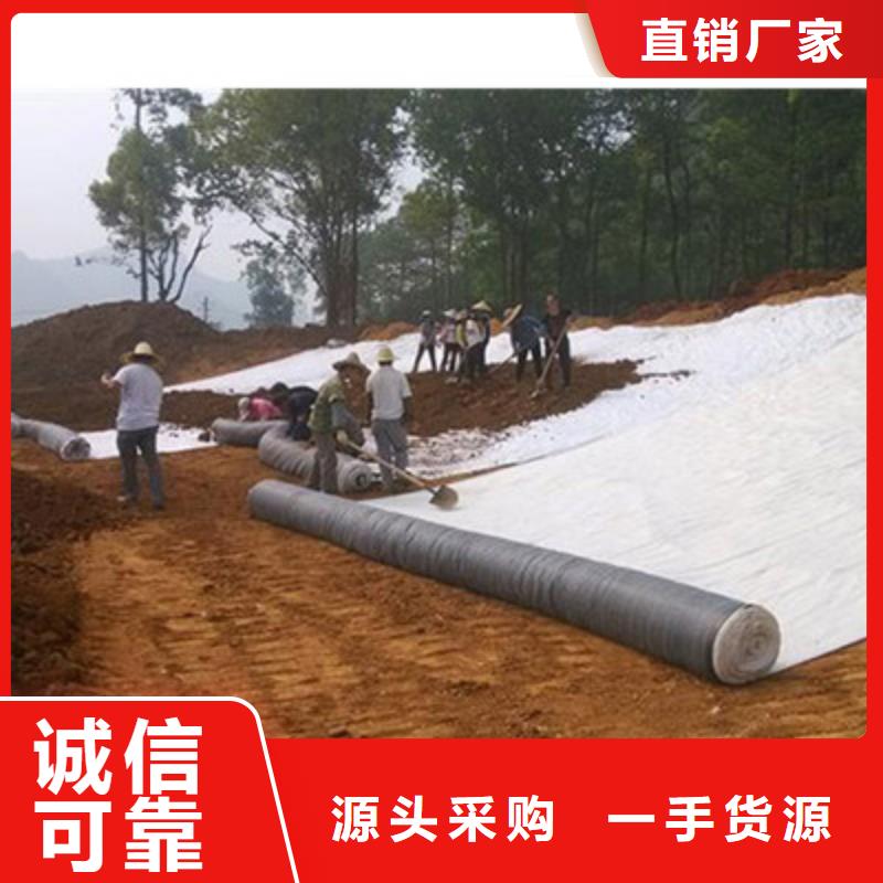 膨润土防水毯三维复合排水网产地厂家直销