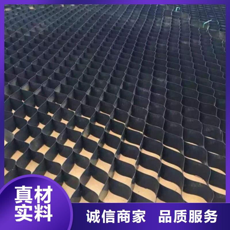 塑料土工格室厂家