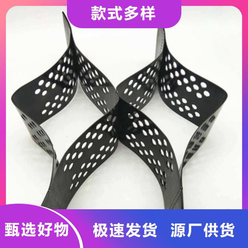 【土工格室_三维复合排水网高品质诚信厂家】
