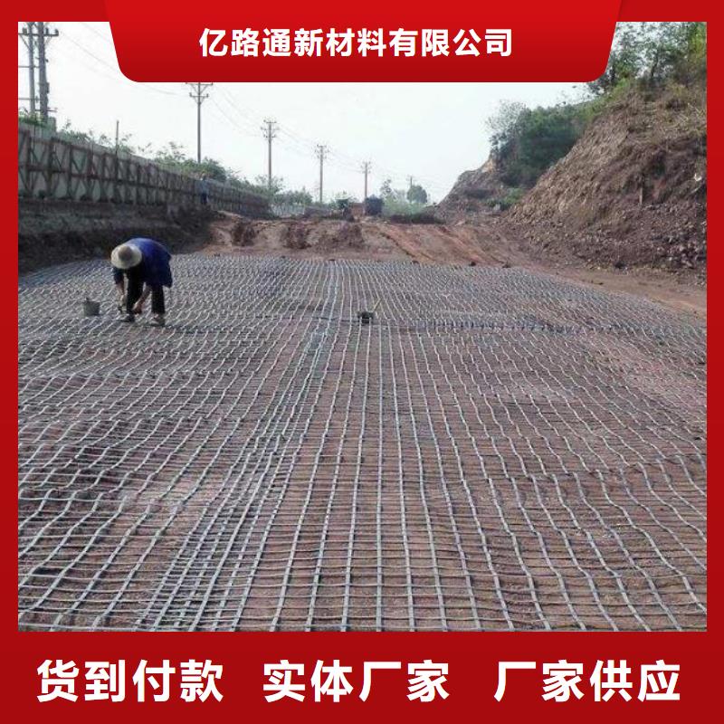 钢塑土工格栅玻纤土工格栅售后无忧