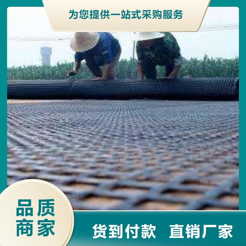 【钢塑土工格栅】涤纶土工格栅客户好评