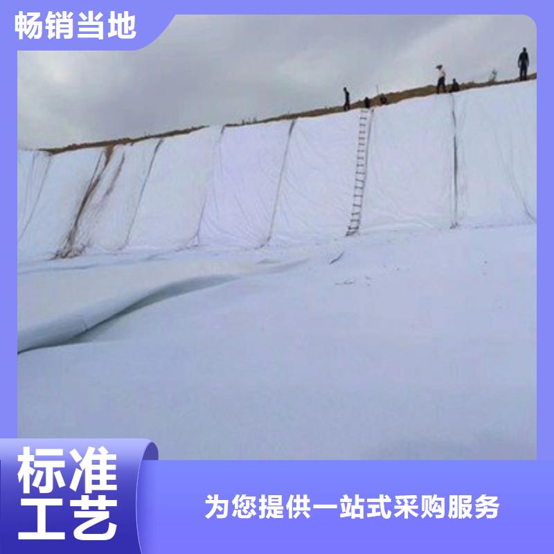 HDPE土工膜-防渗膜价格-复合土工膜-生态袋厂家亿路通