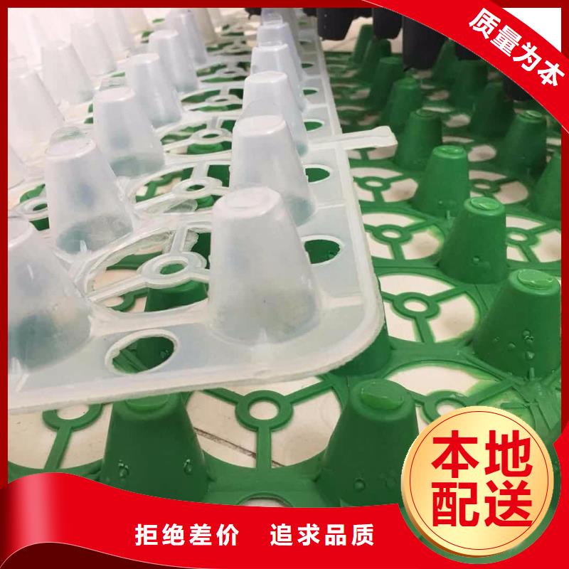 塑料排水板免费拿样