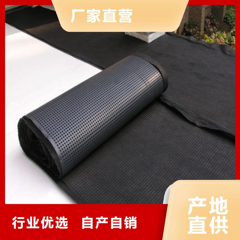 塑料排水板土工席垫品质卓越