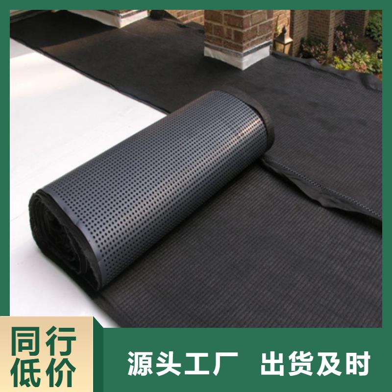 塑料排水板疏水排水