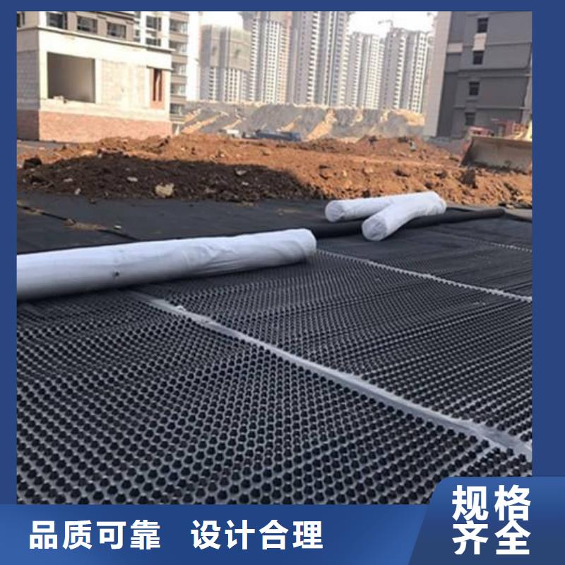 塑料排水板凸结点钢塑土工格栅行业优选