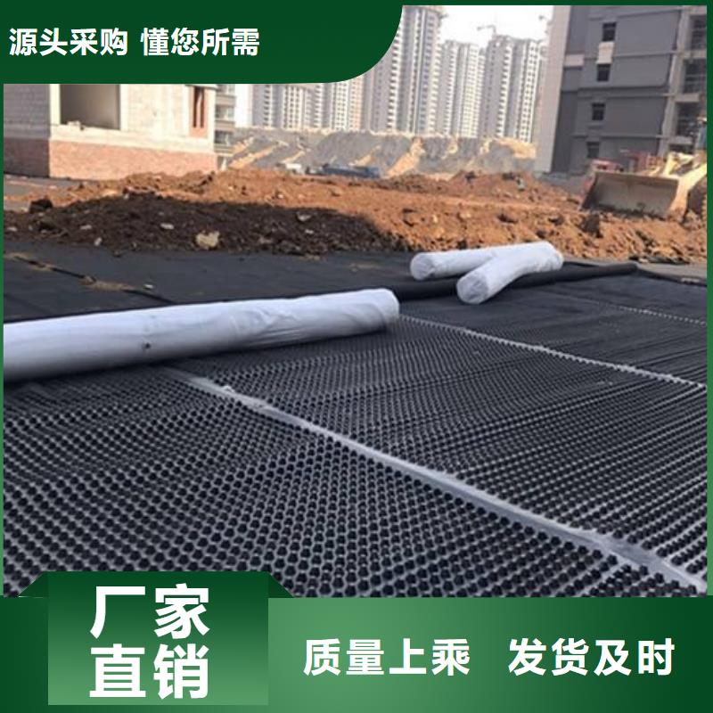 塑料排水板软基处理