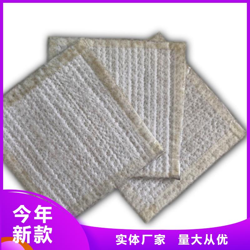 防水毯护坡土工网专业厂家