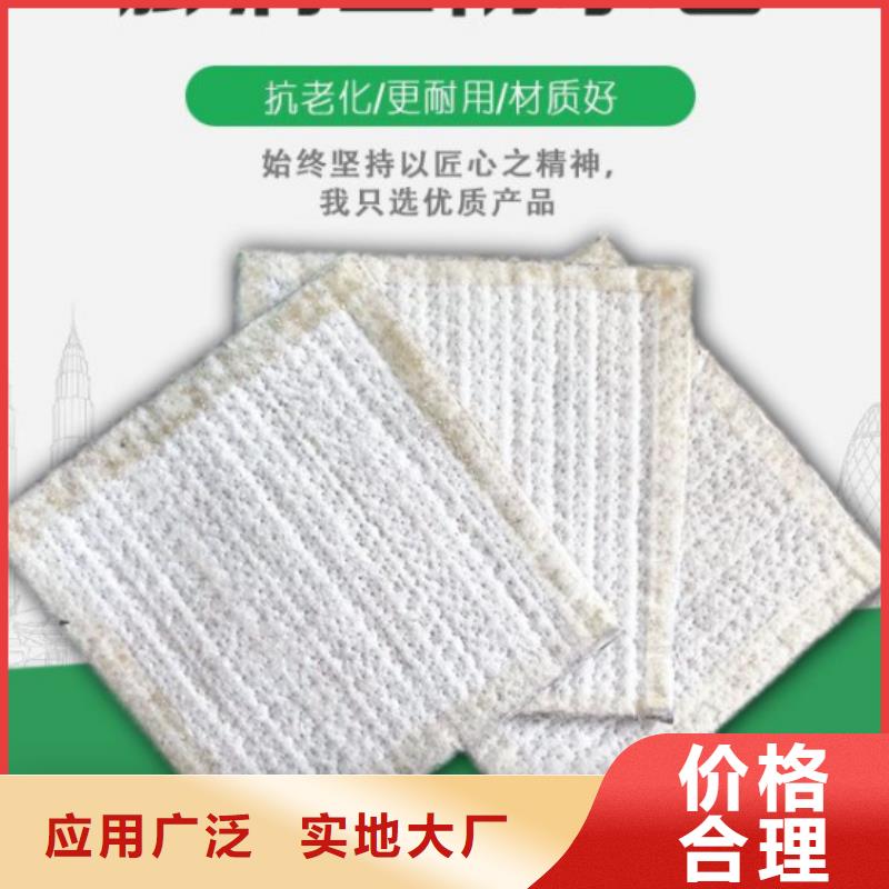 防水毯双向塑料土工格栅匠心品质