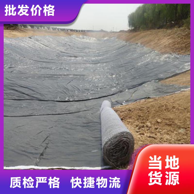 防水毯护坡土工网专业厂家