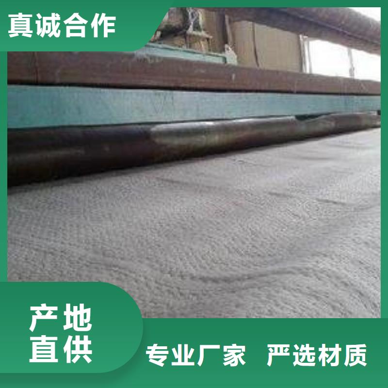 防水毯护坡土工网专业厂家