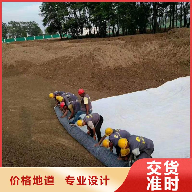 防水毯-复合土工膜实体厂家大量现货
