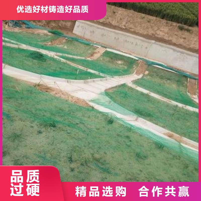 三维植被网-植被网-护坡网-厂家直销