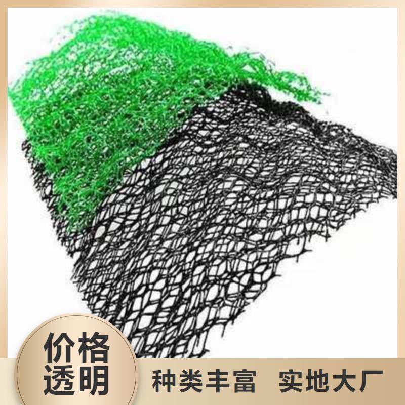 三维植被网,玻璃纤维土工格栅供货及时