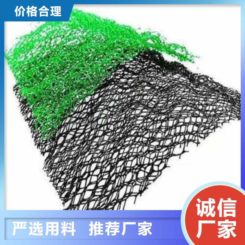 三维植被网-护坡网-施工简单