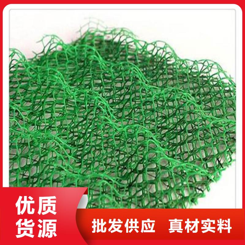 三维植被网,公路边坡植草绿化,三维土工网垫