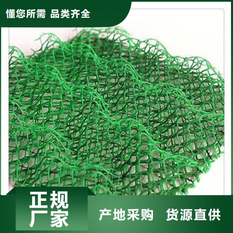 【三维植被网】,多向塑料土工格栅种类齐全