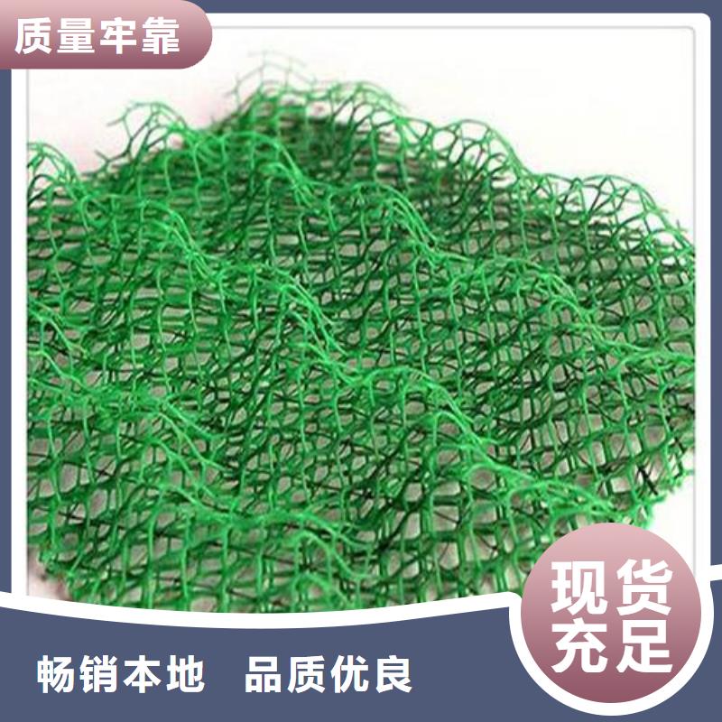 三维植被网-绿化网-价格低-发货快