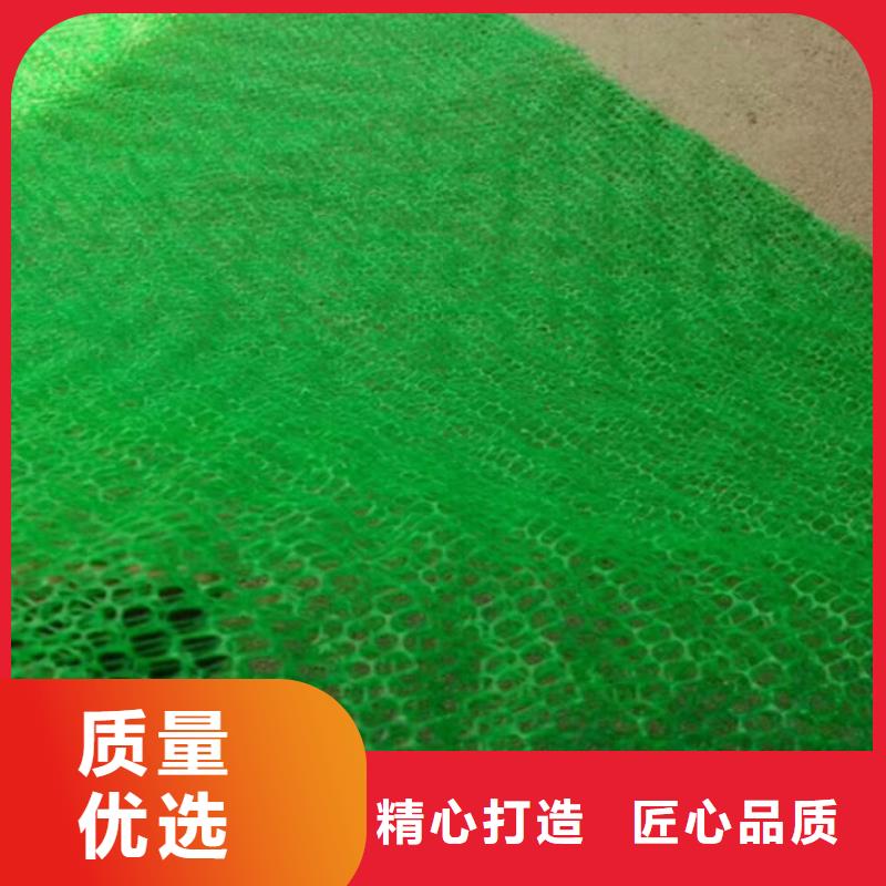 三维植被网凸结点钢塑土工格栅产地直销