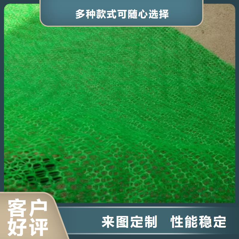 三维植被网,公路边坡植草绿化,三维土工网垫