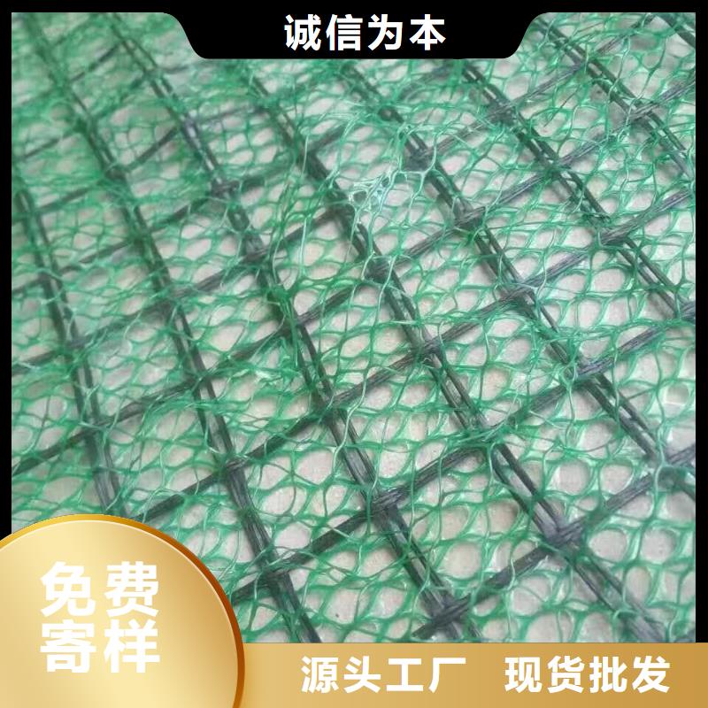 三维植被网|三维土工网垫【三维植被网厂家】