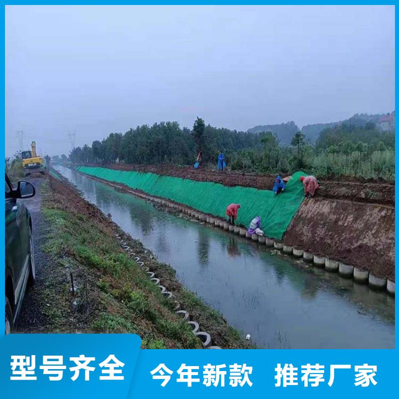 定安县植生毯|三维植被网厂家|椰丝毯|三维抗侵蚀防护毯