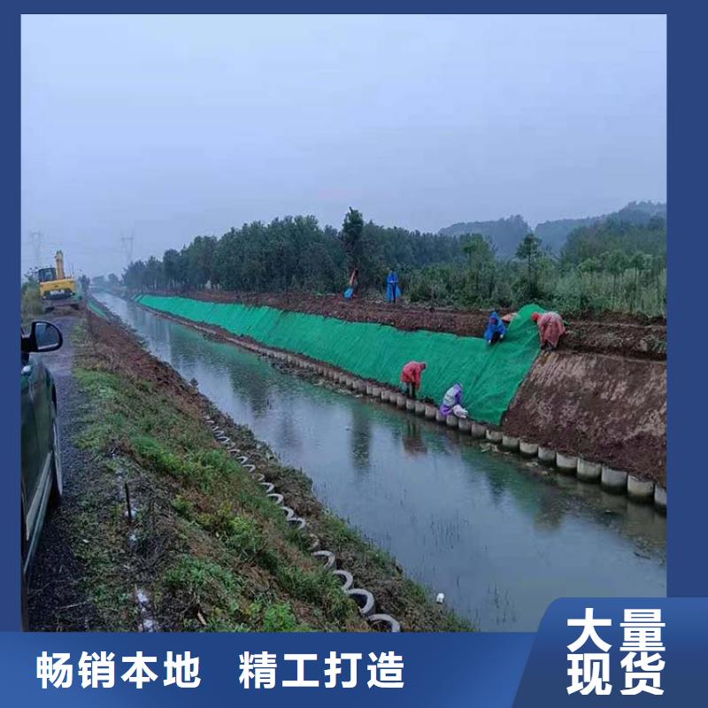三维植被网-植被网-护坡绿化-价格