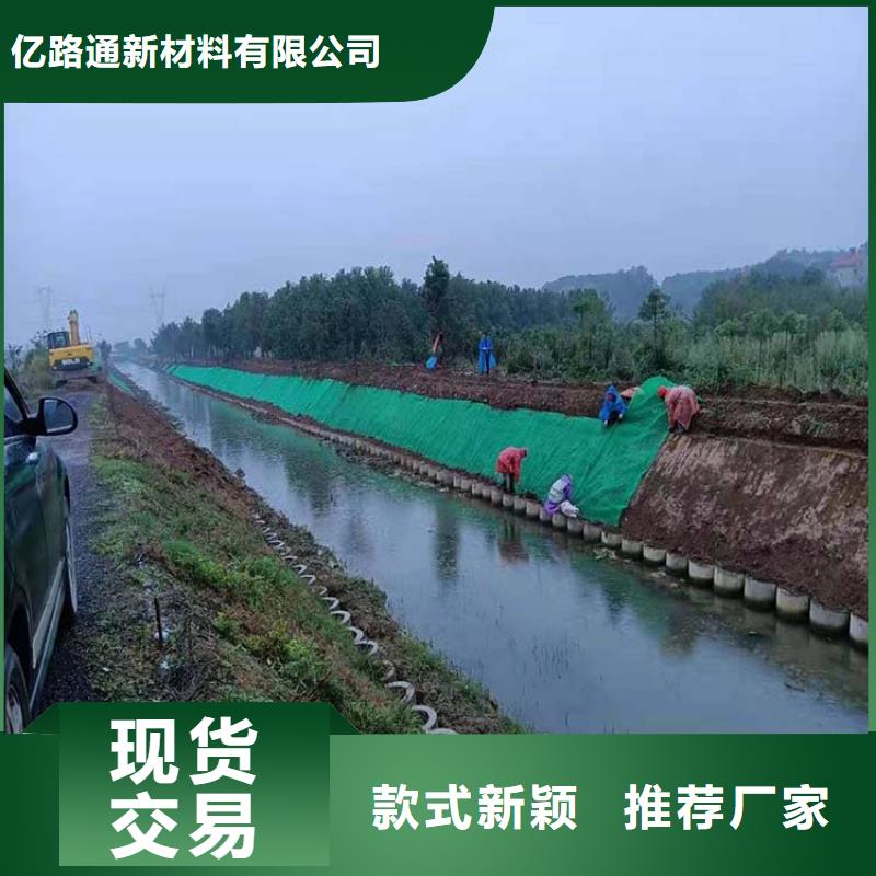 三维植被网|三维土工网垫【三维植被网厂家】