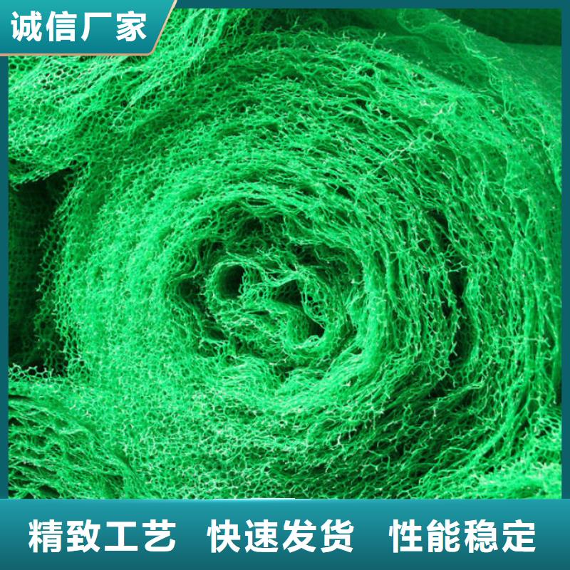 三维植被网|三维土工网垫【三维植被网厂家】