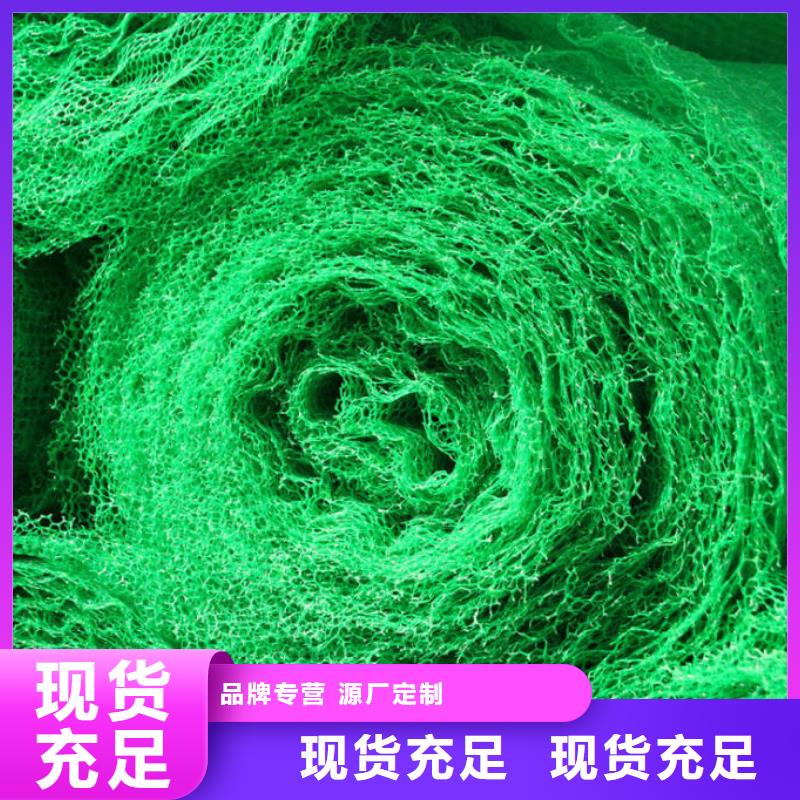 三维植被网|三维网垫植草护坡|三维土工网垫厂家哪家好？