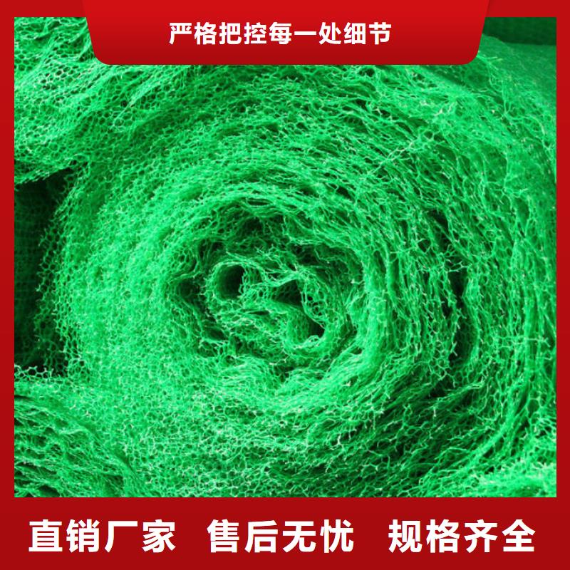 【三维植被网】,多向塑料土工格栅种类齐全