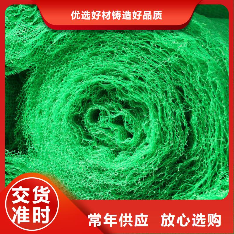 三维土工网垫价格信息-三维土工网垫生产厂家