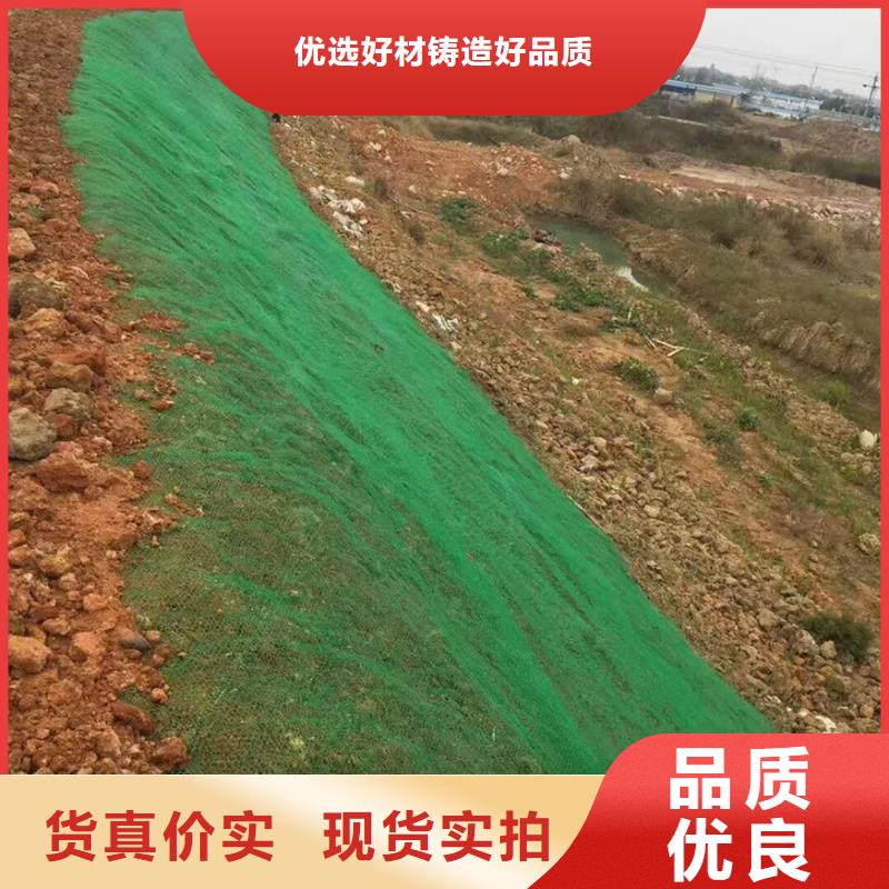 三维植被网,公路边坡植草绿化,三维土工网垫
