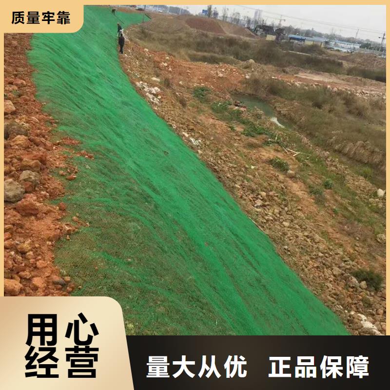 三维植被网_单向塑料土工格栅我们更专业