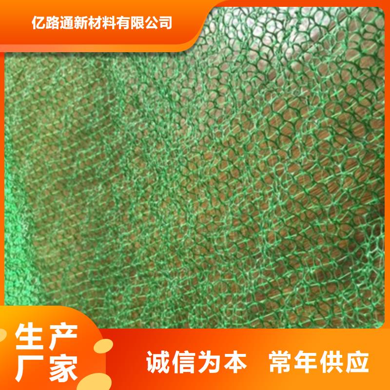 定安县植生毯|三维植被网厂家|椰丝毯|三维抗侵蚀防护毯