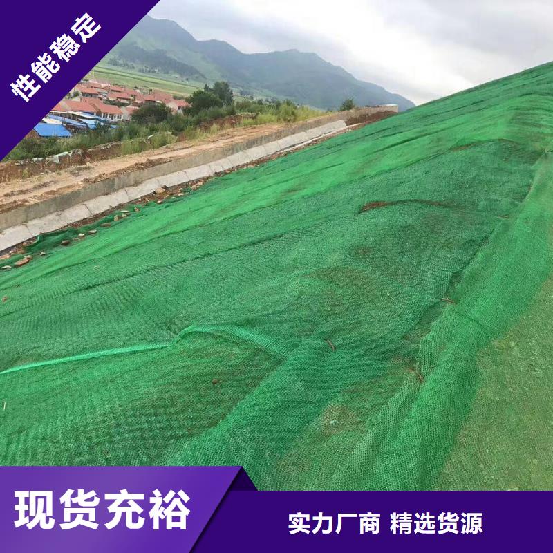 三维植被网|三维土工网垫【三维植被网厂家】