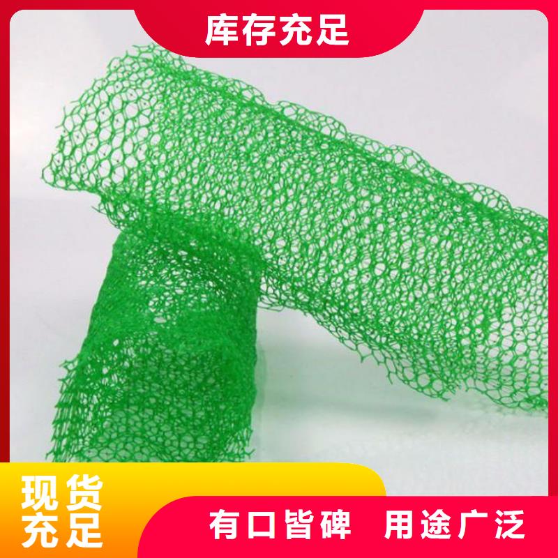 澄迈县三维植被网防护-山东亿路通厂家直销
