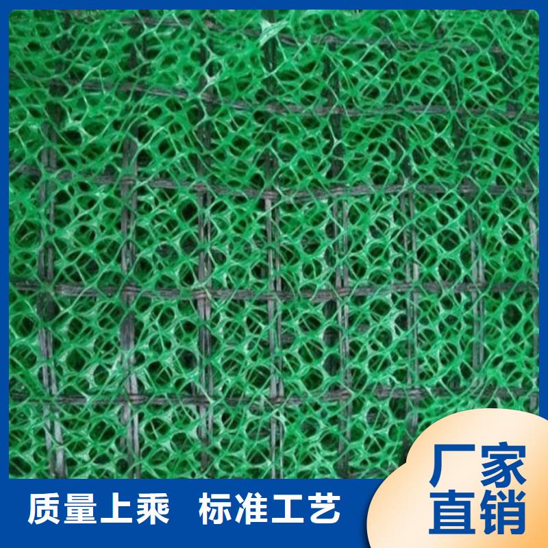 三维植被网凸结点钢塑土工格栅产地直销