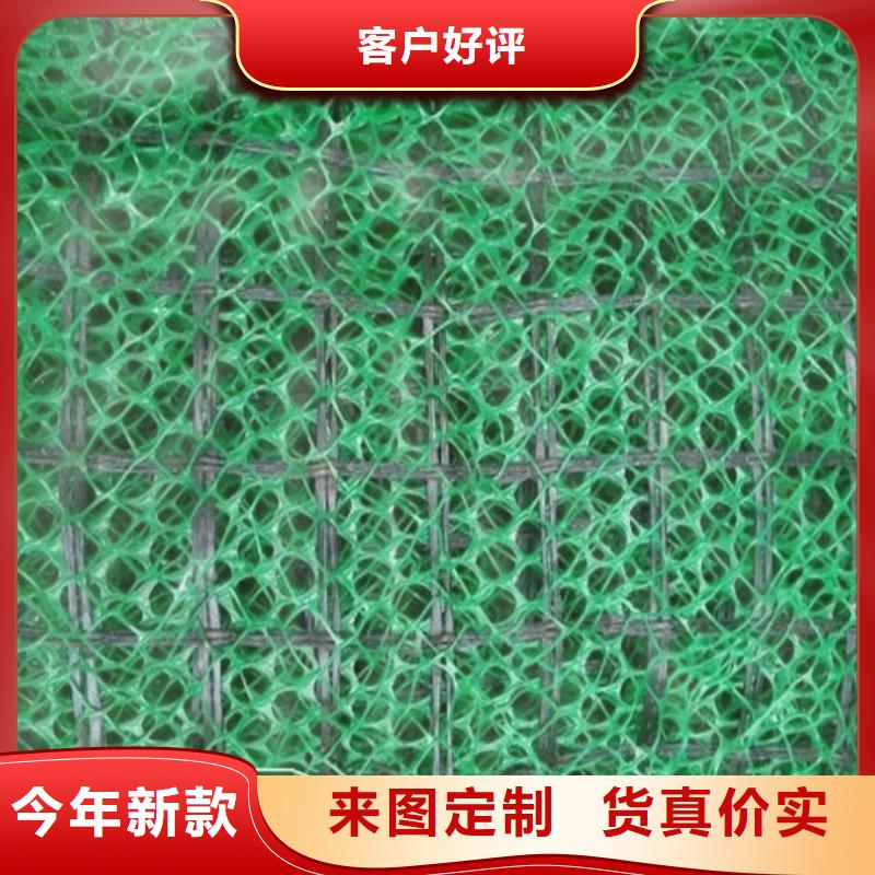 三维植被网护坡做法-价格低