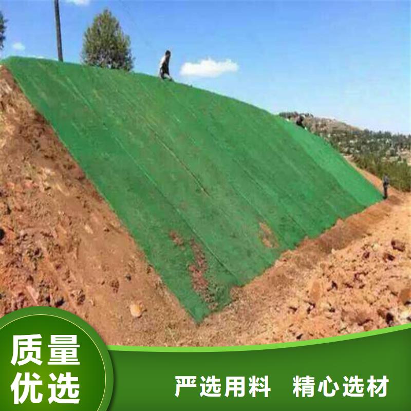 三维植被网有什么作用、价格是多少