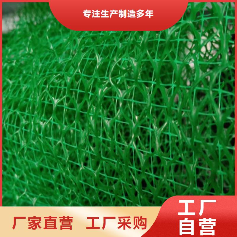 三维植被网凸结点钢塑土工格栅产地直销